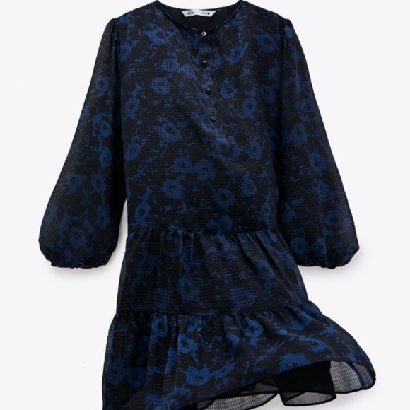 Zara The Rebecka Dress Black Blue Floral Sheer Dress Sz S BNWT - Picture 3 of 5